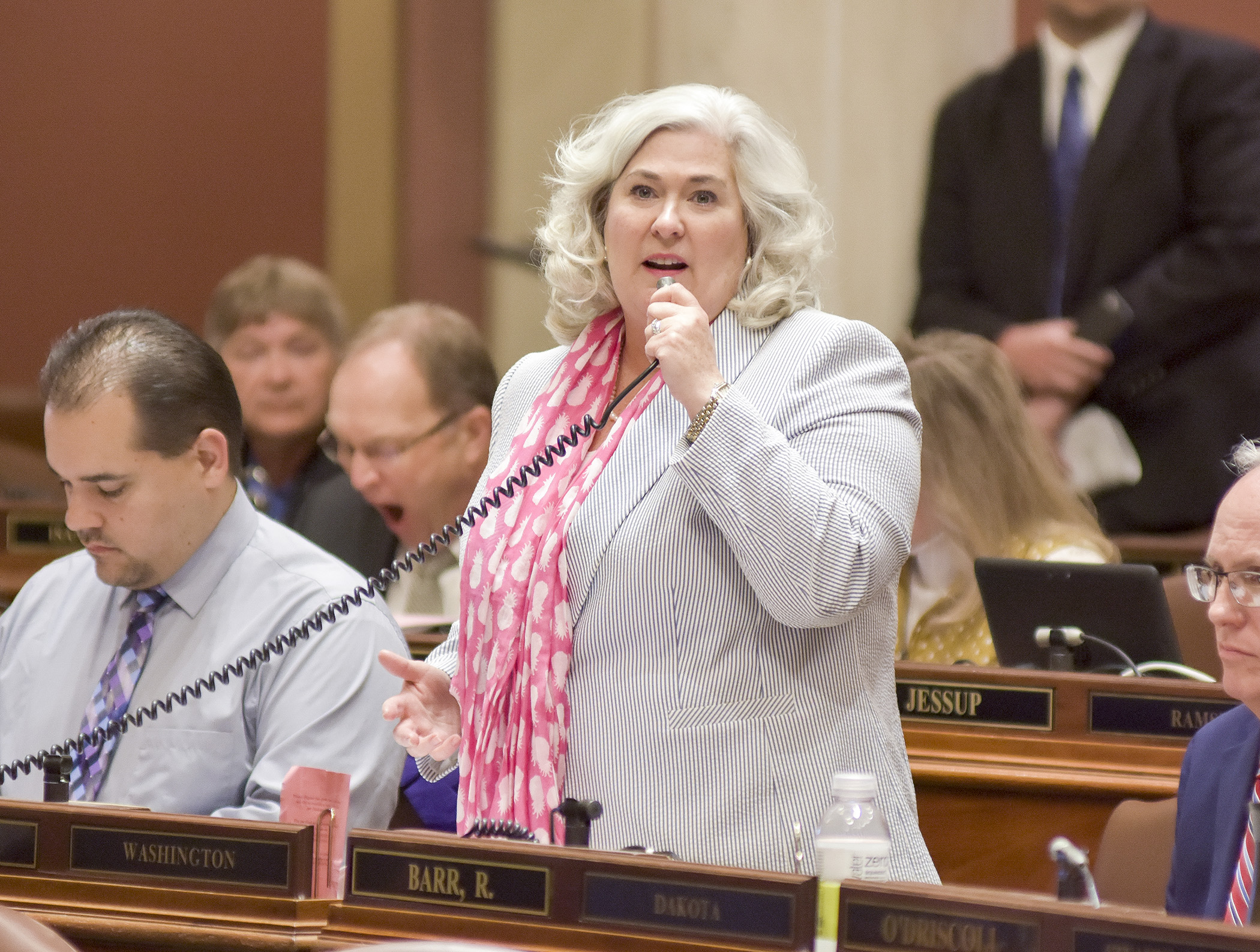 Rep. Kelly Fenton presents the omnibus elections bill on the House Floor May 21. Photo by Andrew VonBank